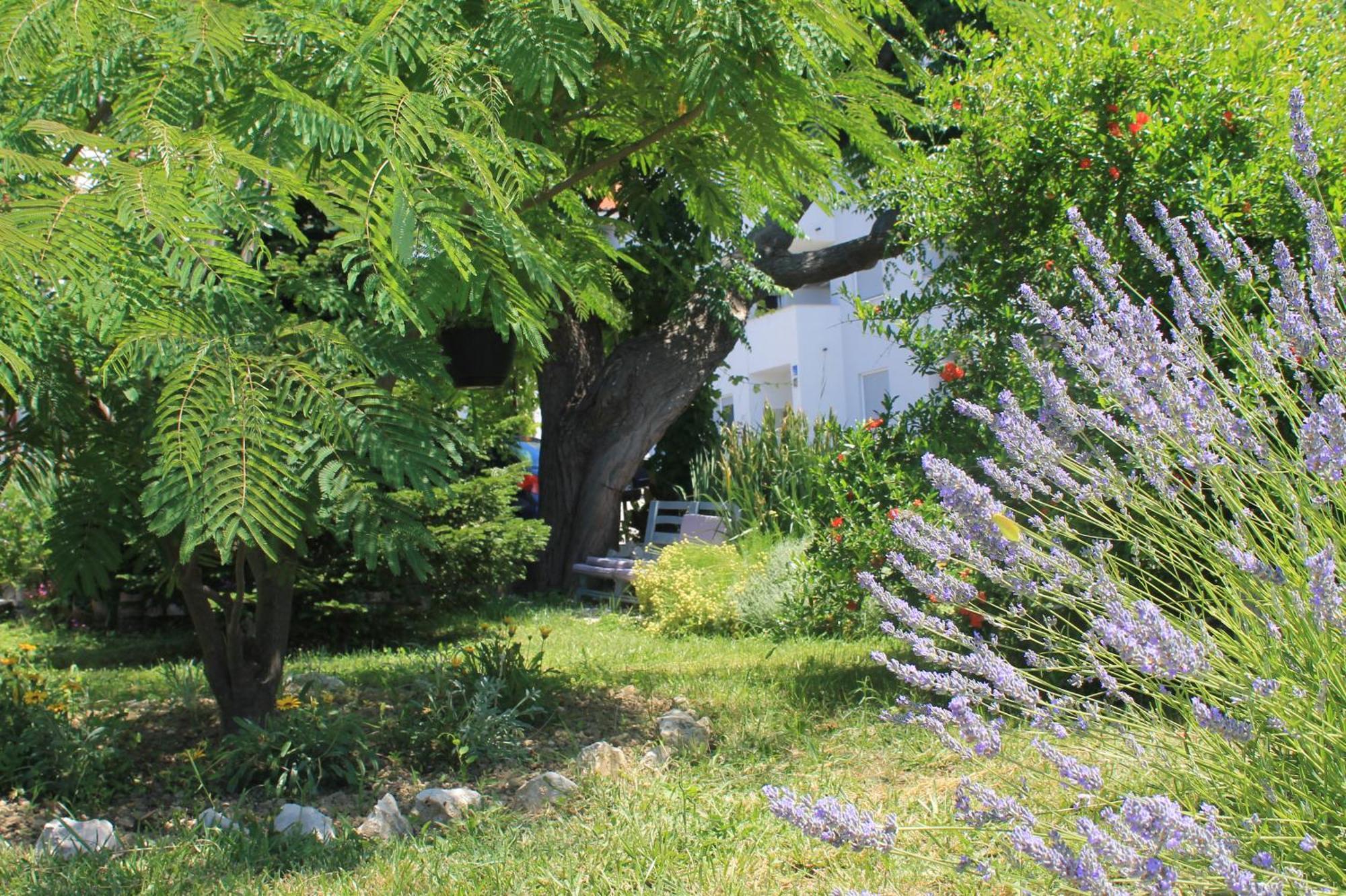 Apartments 501 - Rab Island Oasis Retreat Supetarska Draga Zewnętrze zdjęcie