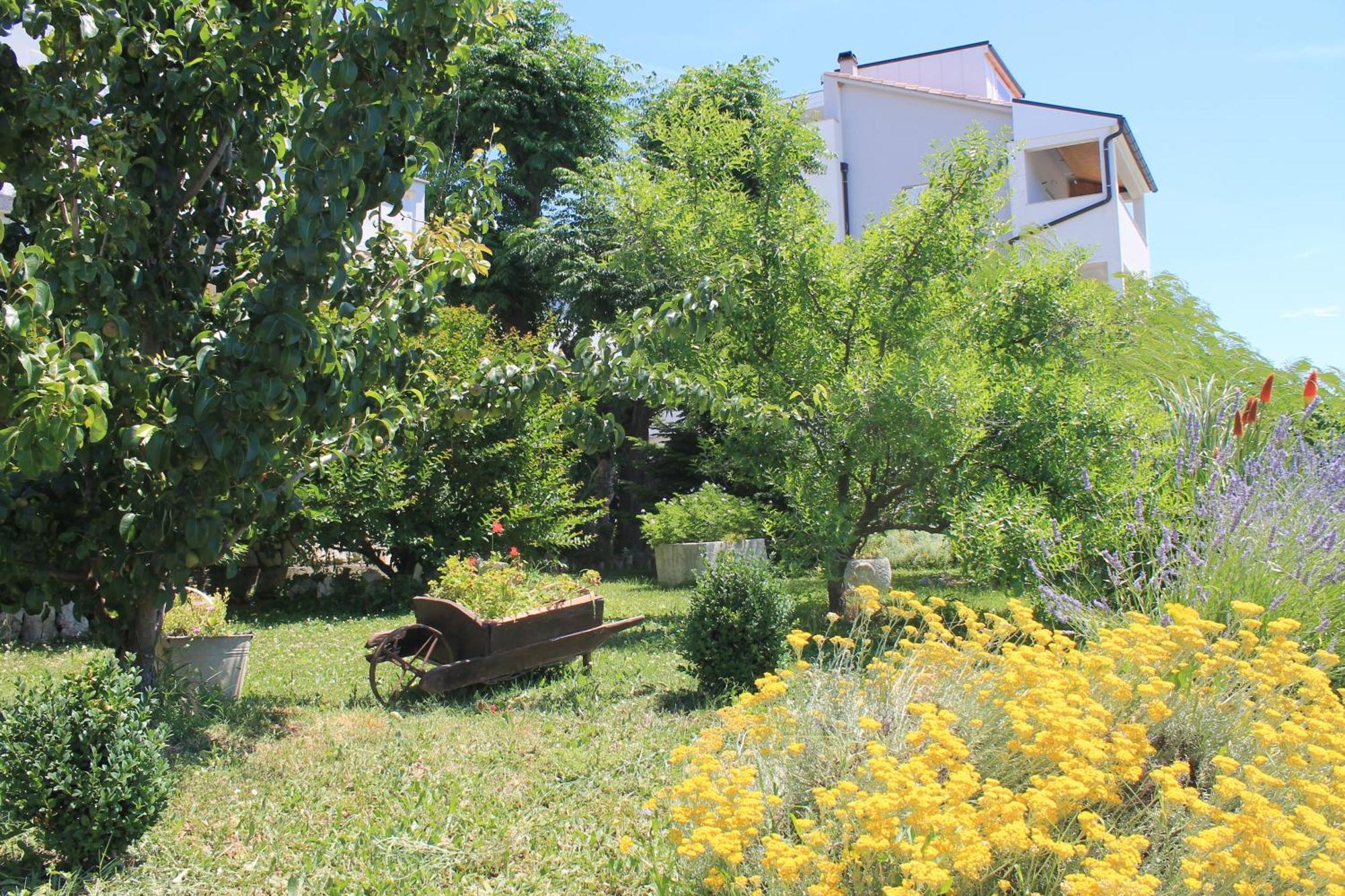 Apartments 501 - Rab Island Oasis Retreat Supetarska Draga Zewnętrze zdjęcie