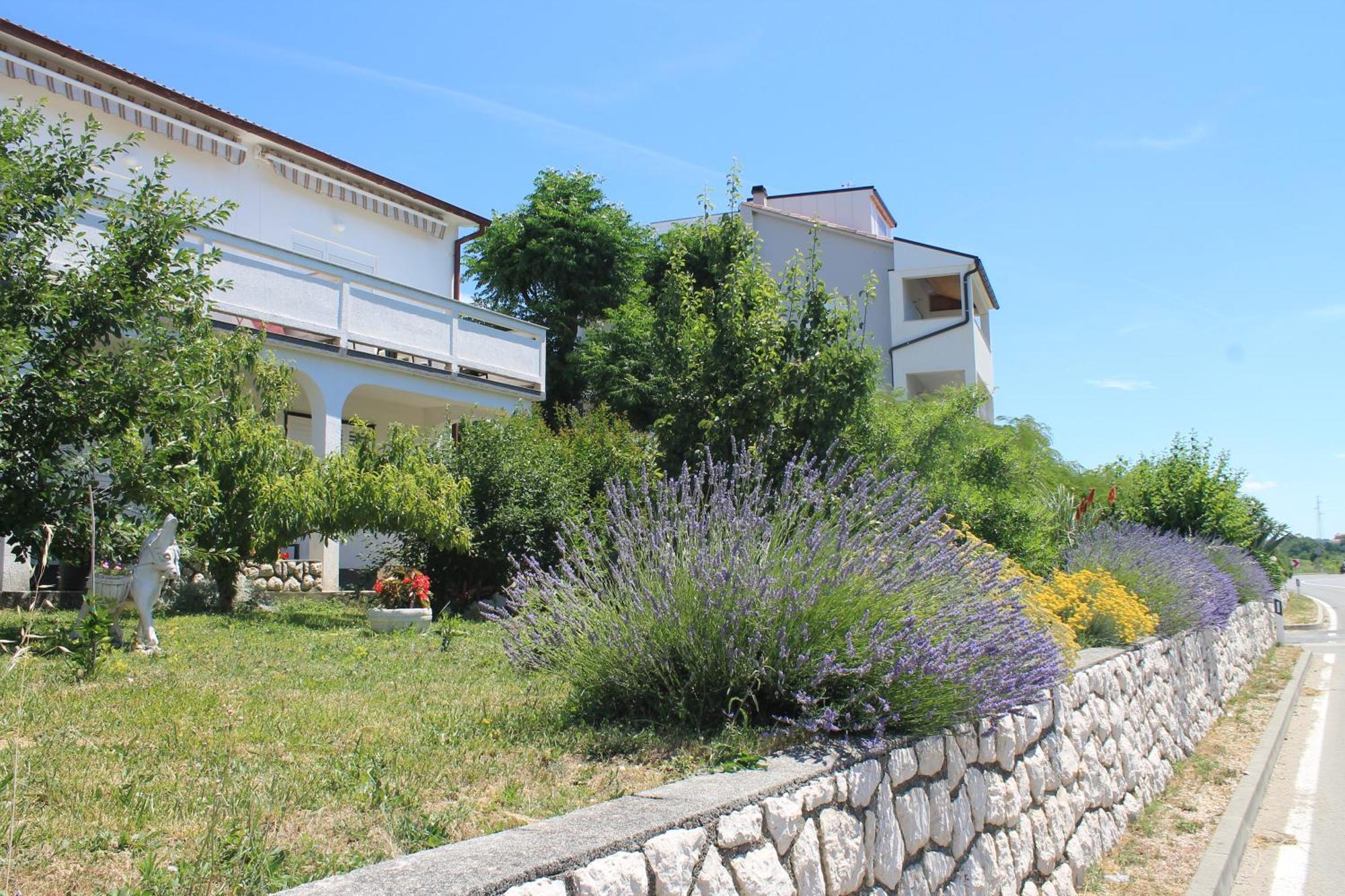 Apartments 501 - Rab Island Oasis Retreat Supetarska Draga Zewnętrze zdjęcie