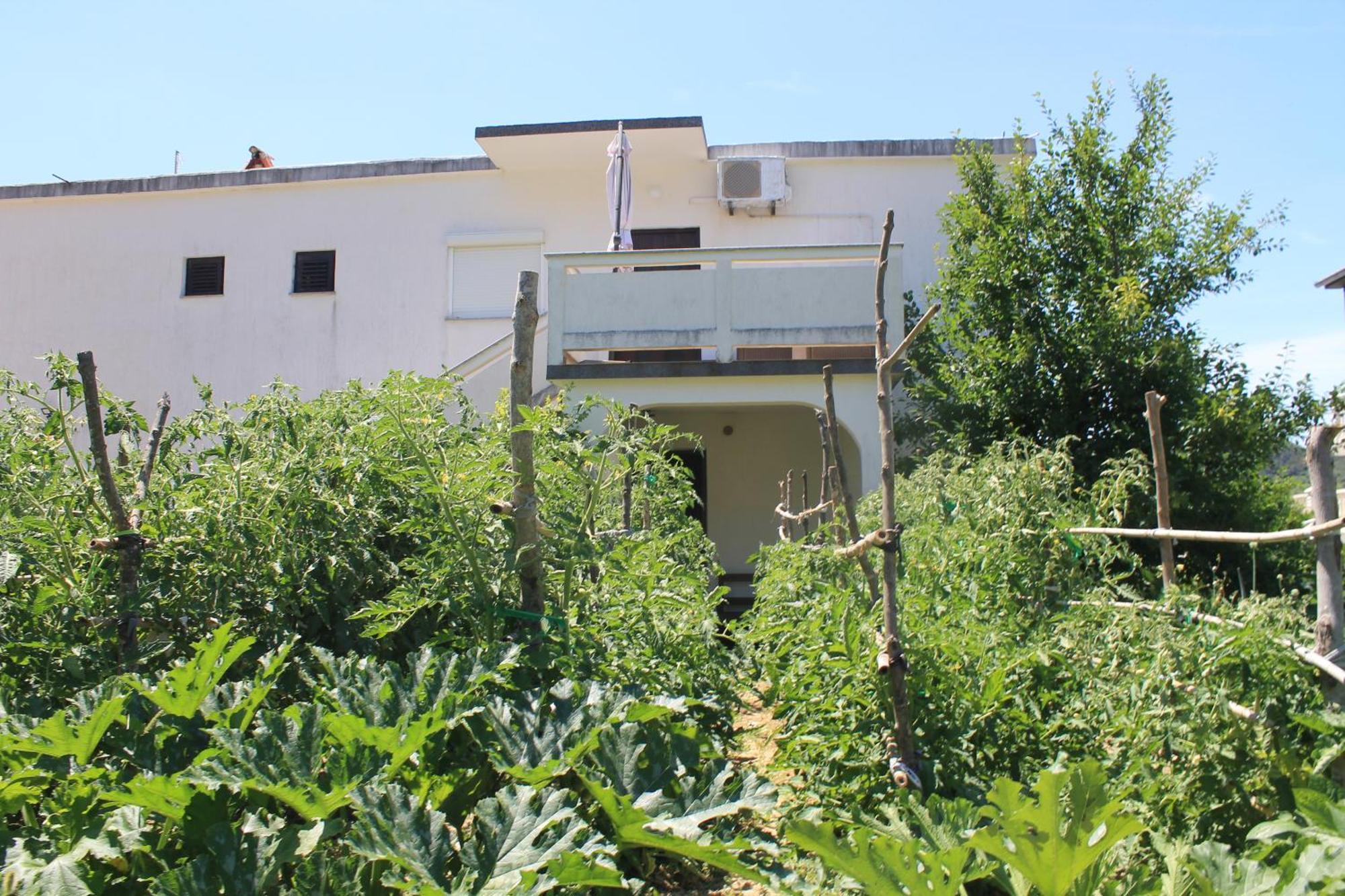 Apartments 501 - Rab Island Oasis Retreat Supetarska Draga Zewnętrze zdjęcie