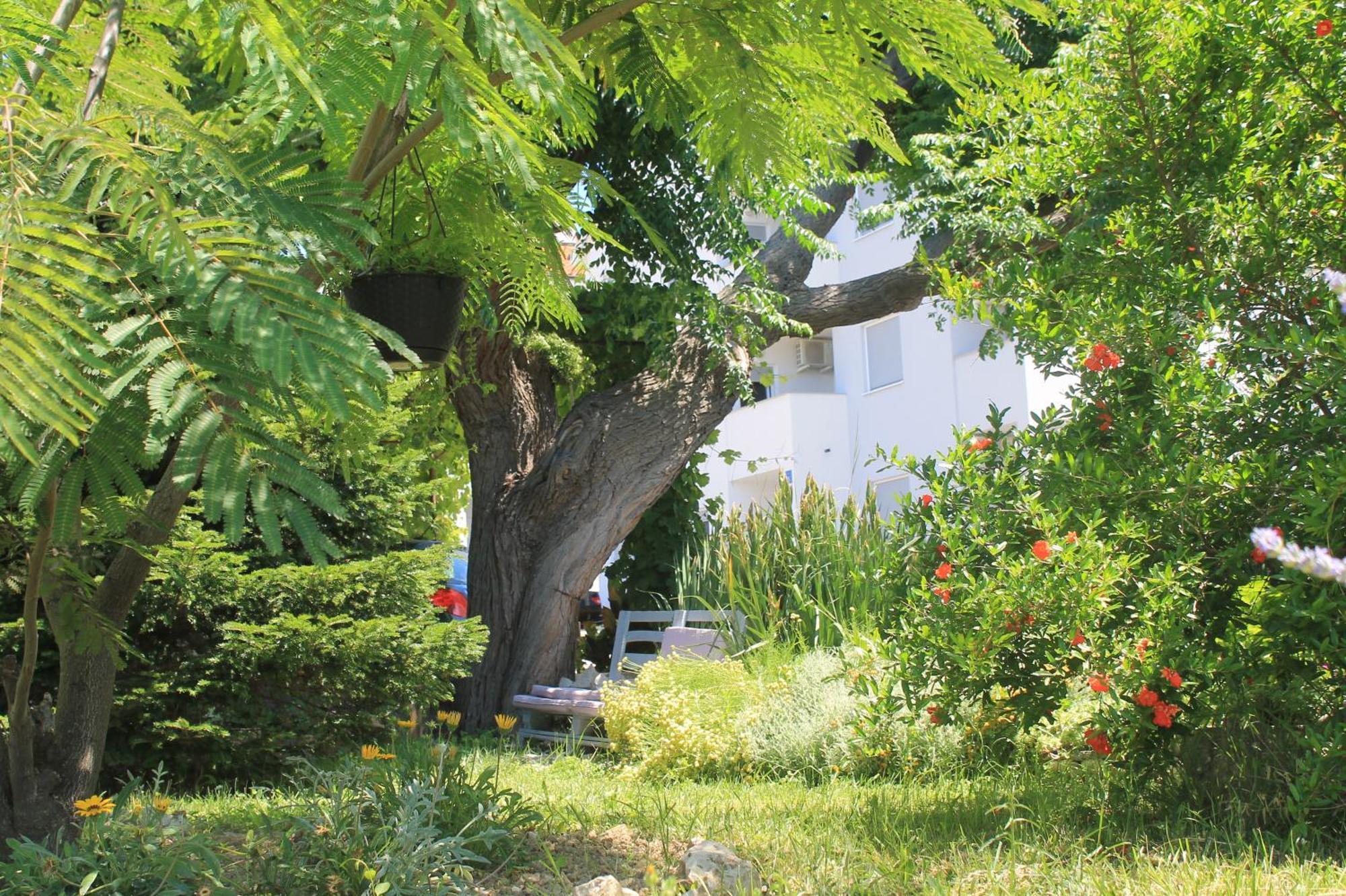 Apartments 501 - Rab Island Oasis Retreat Supetarska Draga Zewnętrze zdjęcie