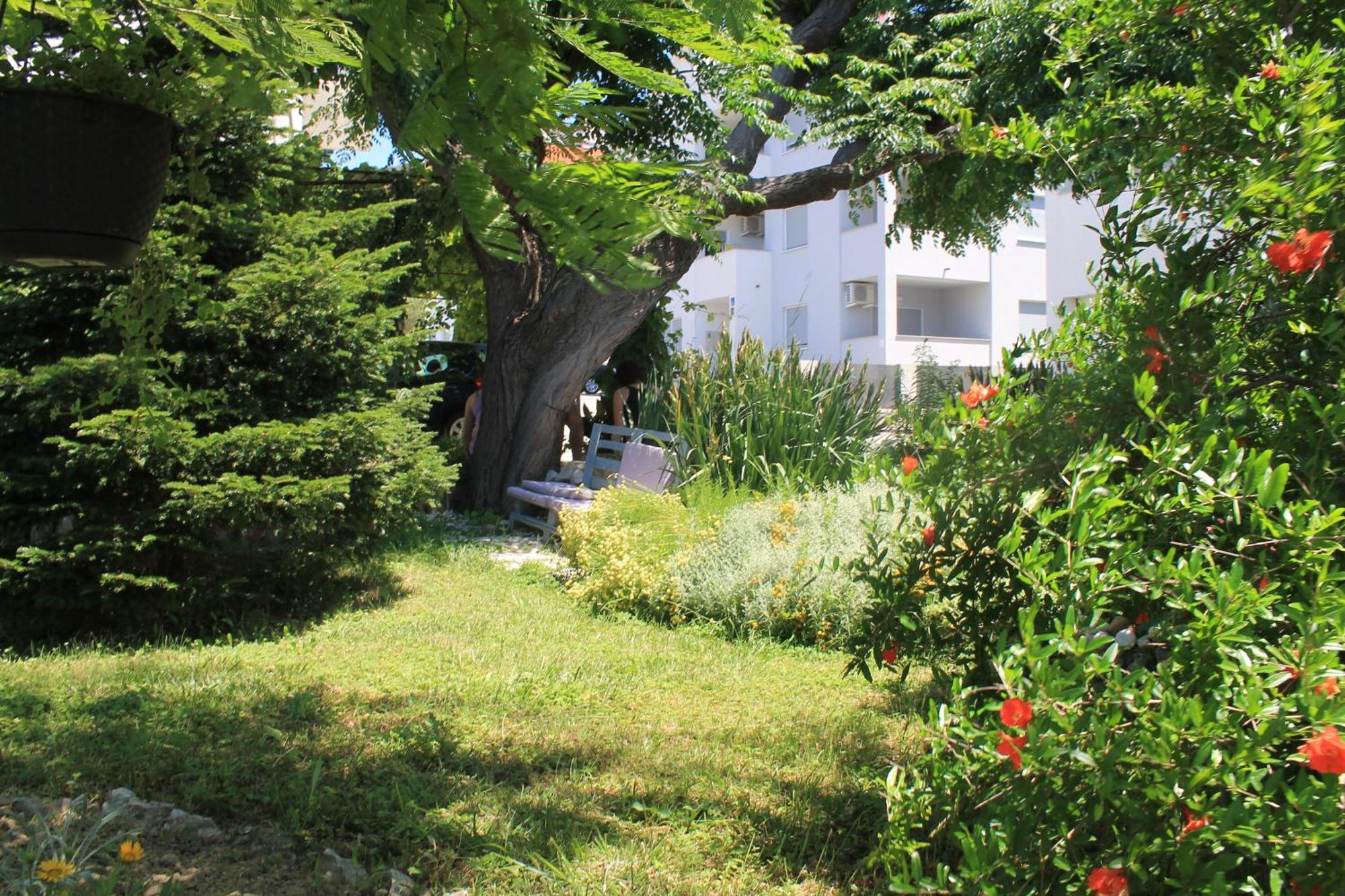 Apartments 501 - Rab Island Oasis Retreat Supetarska Draga Zewnętrze zdjęcie
