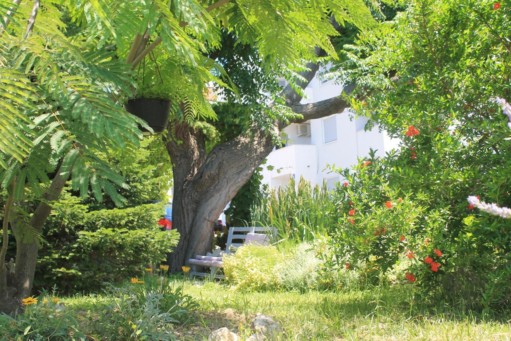 Apartments 501 - Rab Island Oasis Retreat Supetarska Draga Zewnętrze zdjęcie