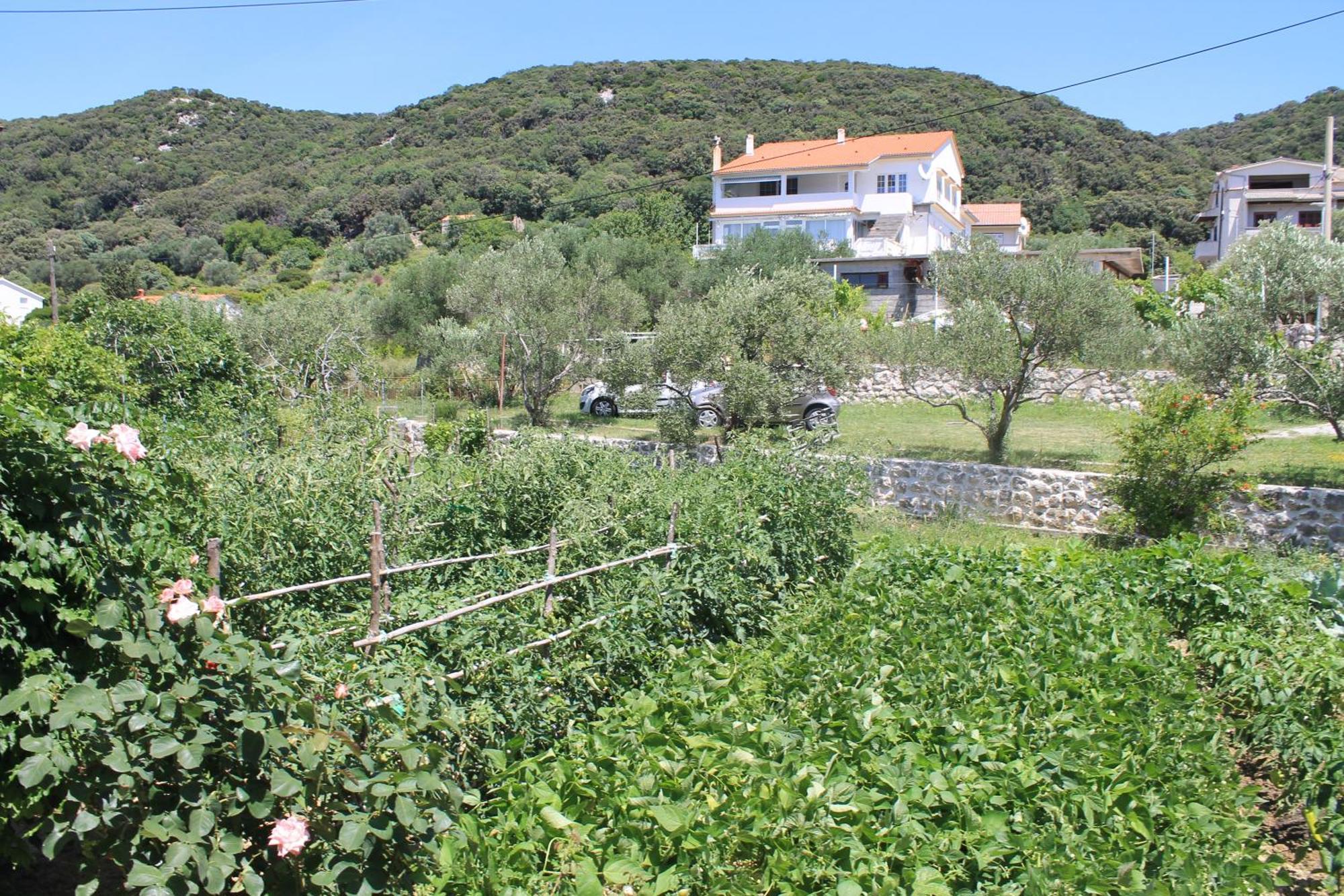 Apartments 501 - Rab Island Oasis Retreat Supetarska Draga Zewnętrze zdjęcie