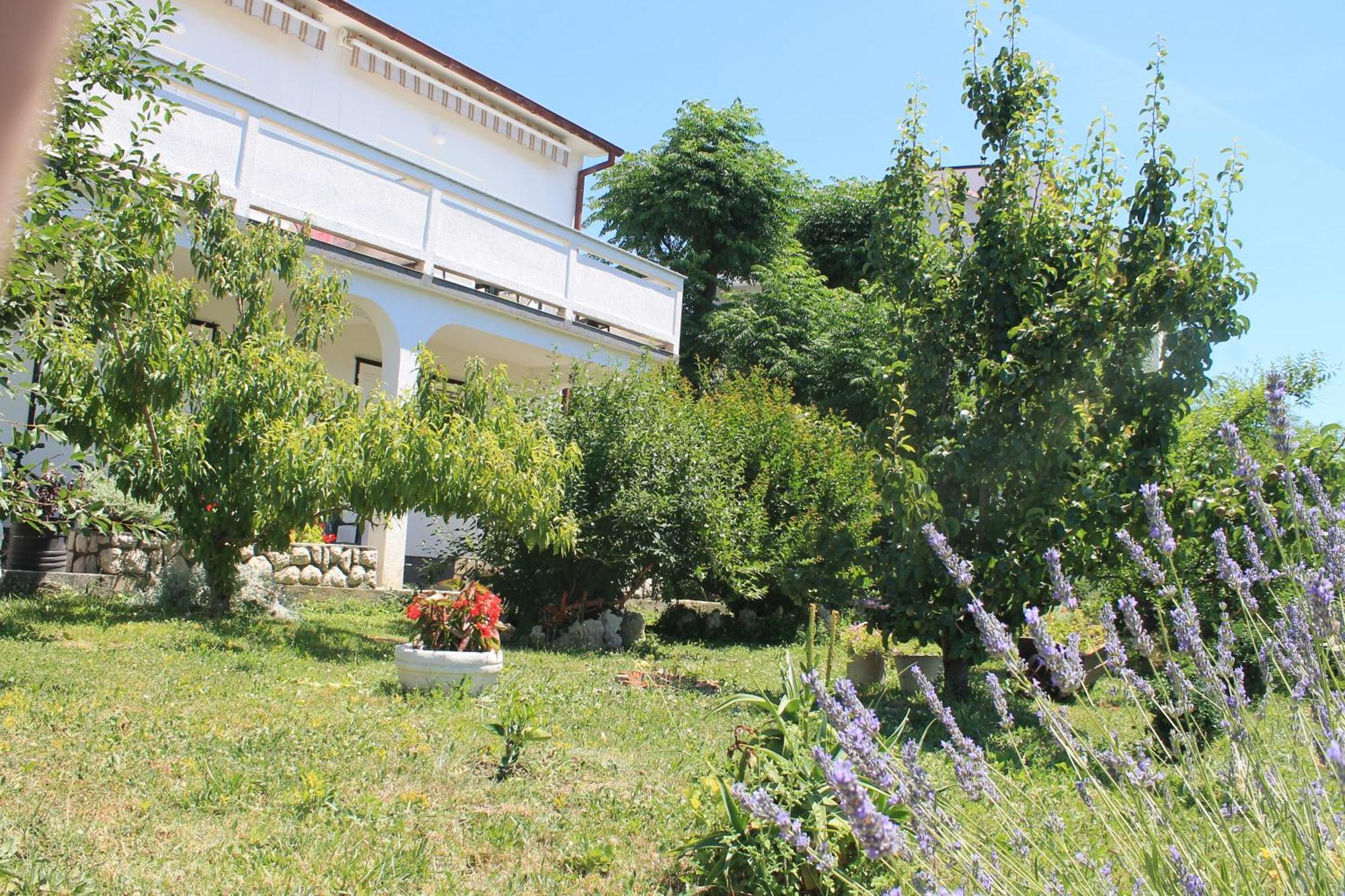 Apartments 501 - Rab Island Oasis Retreat Supetarska Draga Zewnętrze zdjęcie