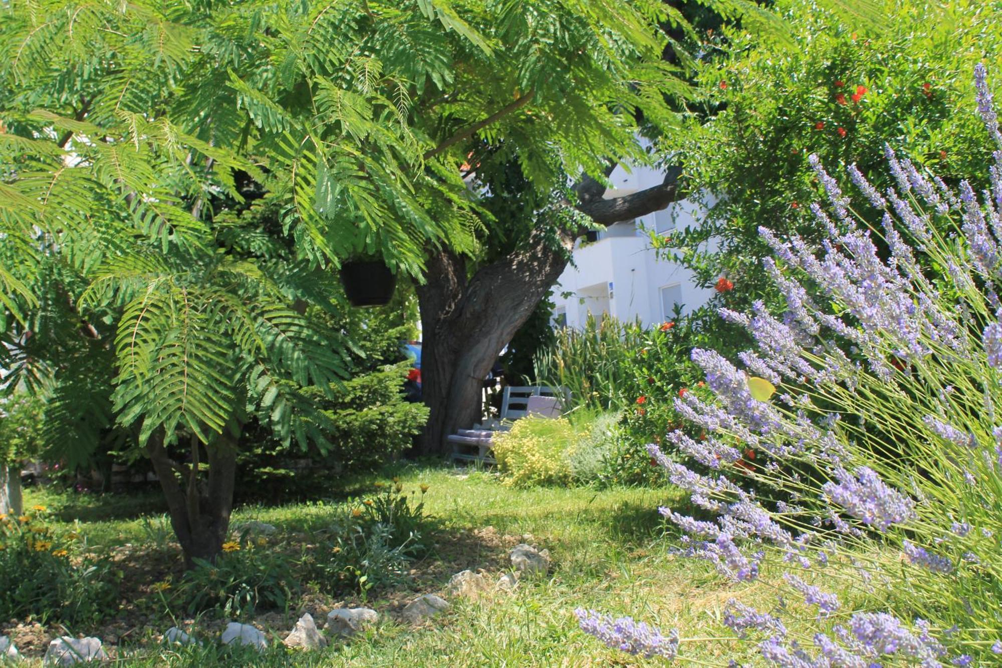 Apartments 501 - Rab Island Oasis Retreat Supetarska Draga Zewnętrze zdjęcie