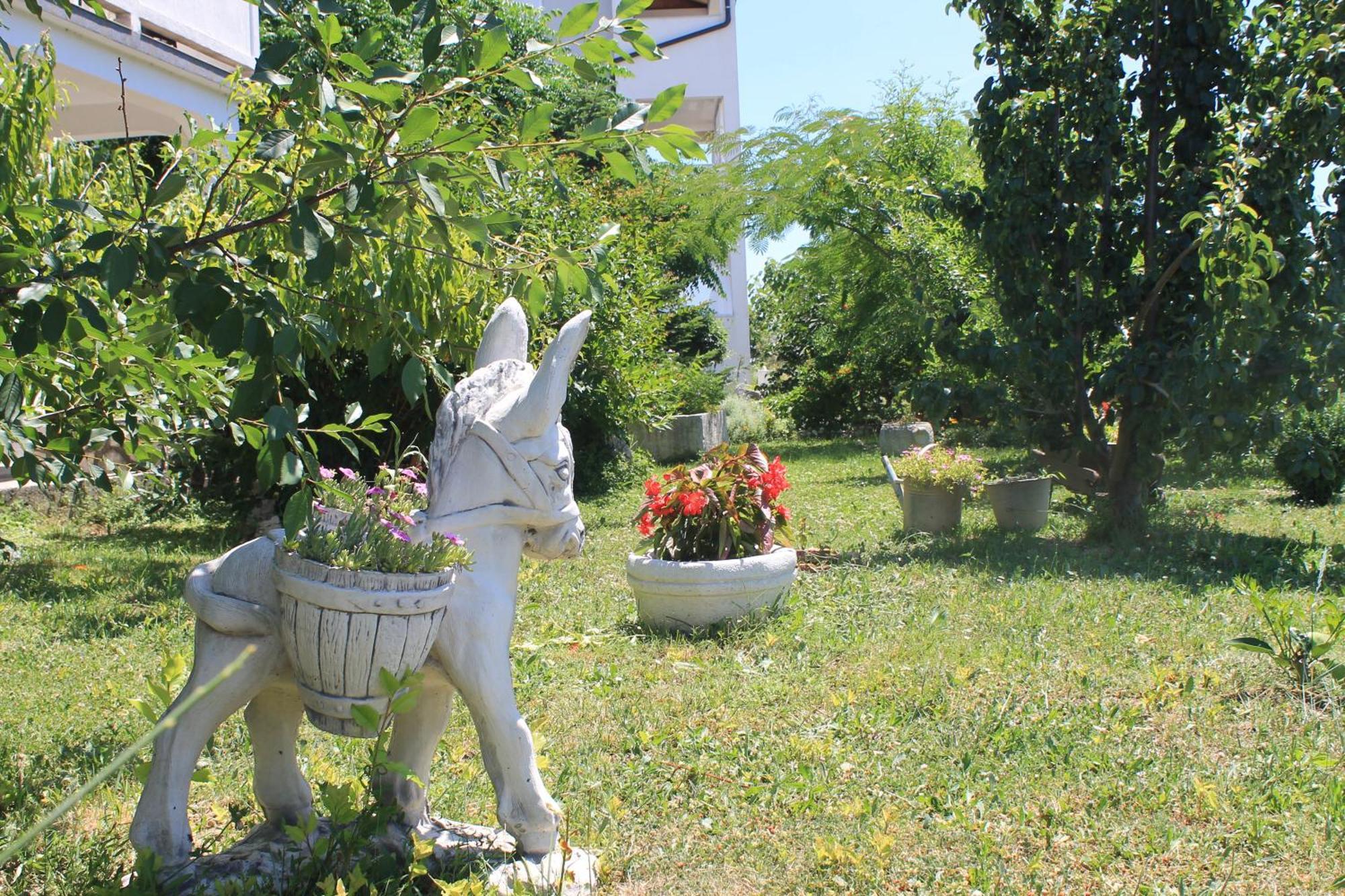 Apartments 501 - Rab Island Oasis Retreat Supetarska Draga Zewnętrze zdjęcie