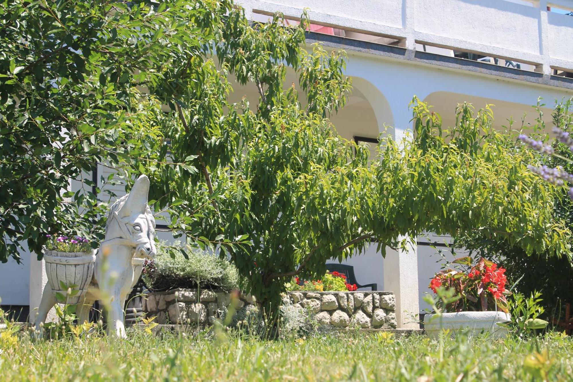 Apartments 501 - Rab Island Oasis Retreat Supetarska Draga Zewnętrze zdjęcie