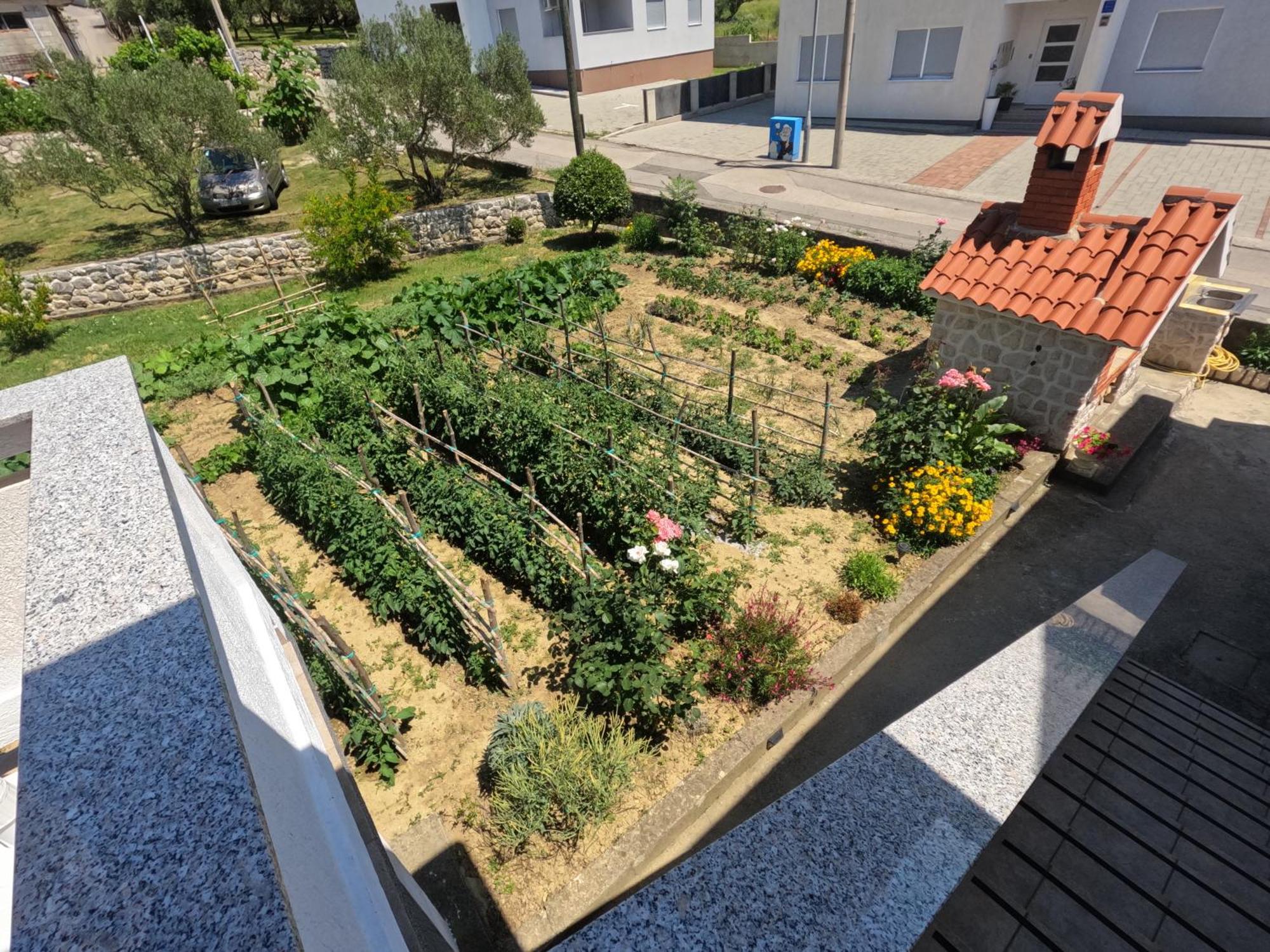 Apartments 501 - Rab Island Oasis Retreat Supetarska Draga Zewnętrze zdjęcie